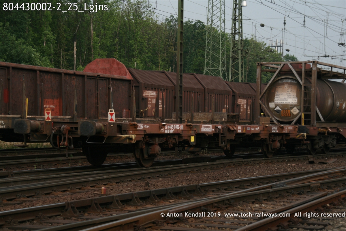 804430002-2_25_Lgjns.jpg